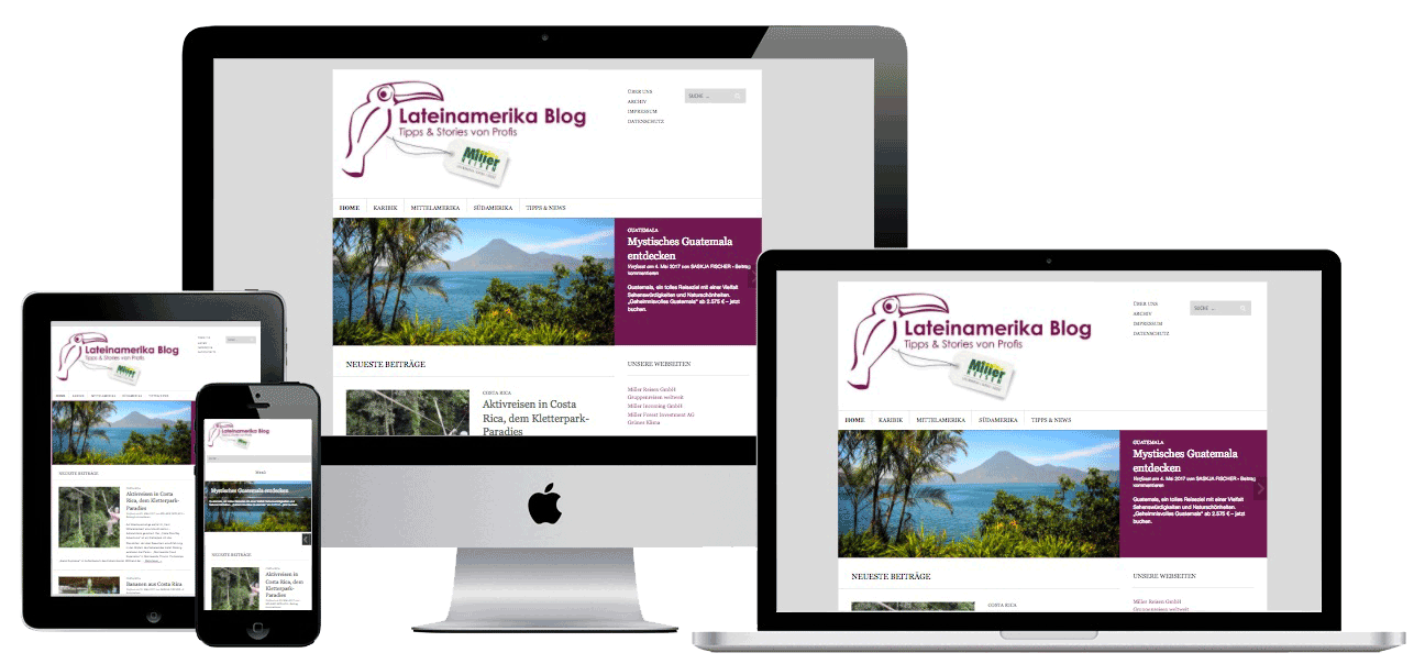 Beispiel Responsive Website